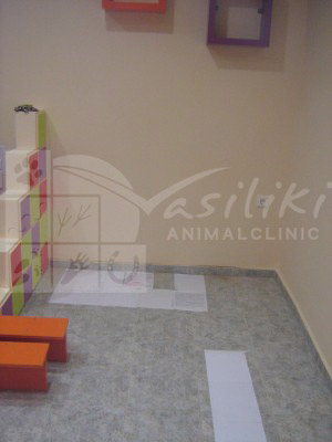 waiting area preparing2